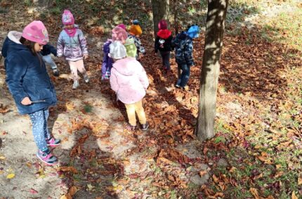 Jesień w przedszkolu – Grupa I